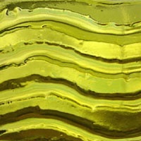 E101_Solstice_Yellow2