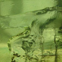 E113_Chartreuse2