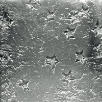 MD 221 Starrynight